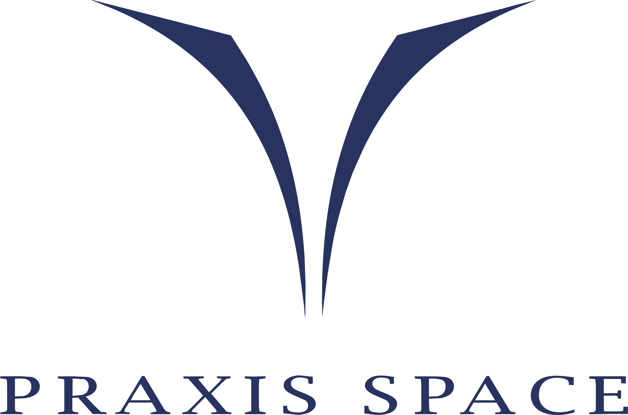 Praxis Space
